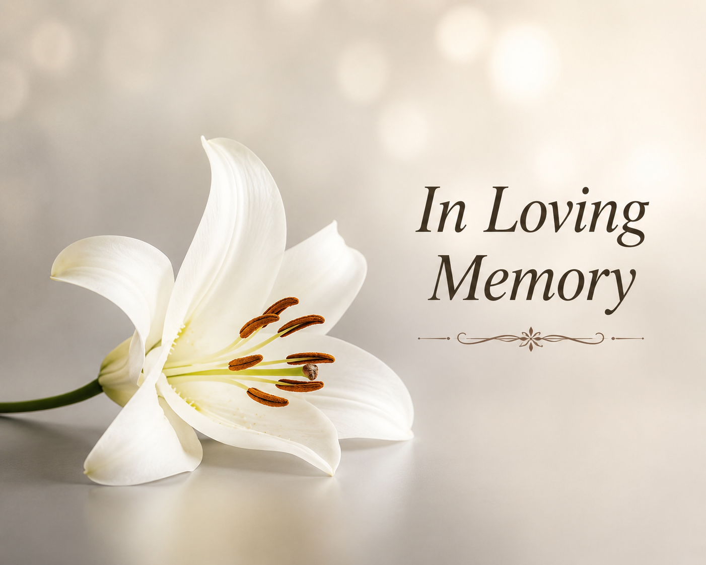 Jeff Kiraly Motorcycle Accident Death Obituary, New Mexico Baseball Player Dies